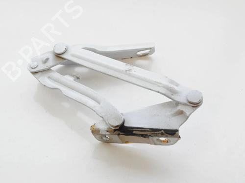 Hinge/Door check strap MERCEDES-BENZ SPRINTER 3-t Platform/Chassis (B906) 213 CDI (906.111, 906.113, 906.211, 906.213) | BP30245529C146
