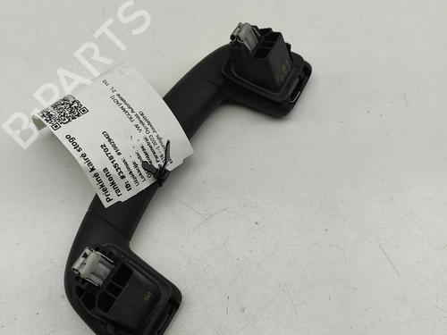 Interior roof handle VW TIGUAN (AD1, AX1) 2.0 TDI | BP31314971I35