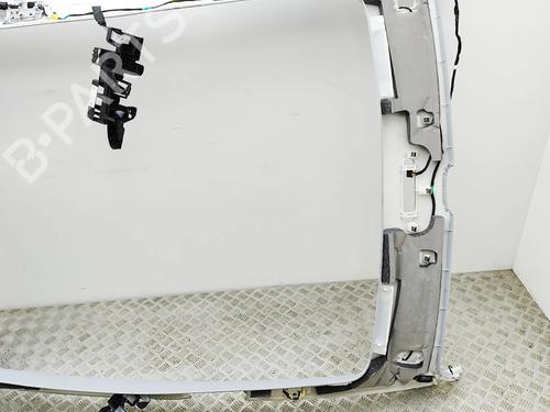 Interior roof TESLA MODEL Y (5YJY) Long Range All-wheel Drive | BP33624655I12 - Image 4