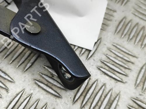 Hinge/Door check strap TESLA MODEL S (5YJS) P100D AWD | BP30394312C146