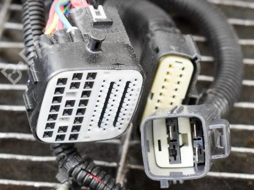 Wiring harness TESLA MODEL S (5YJS) 75 | BP20231377E16 - Image 6