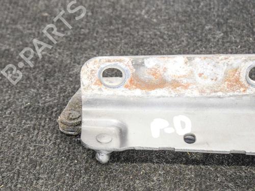 Hinge/Door check strap LAND ROVER RANGE ROVER EVOQUE (L538) 2.2 D 4x4 | BP14607887C146 