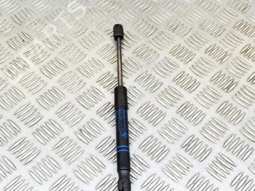 Hood lift support BMW 3 (F30, F80) 330 e | BP14626847C139 