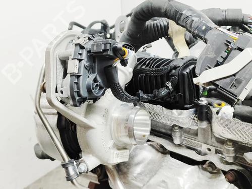 Engine FORD TRANSIT CUSTOM V362 Van (FY, FZ) 2.0 EcoBlue mHEV | BP31715276M1