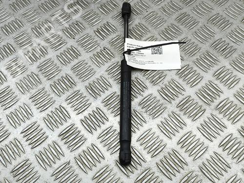 Hood lift support VOLVO V70 III (135) D4 | BP29830417C139