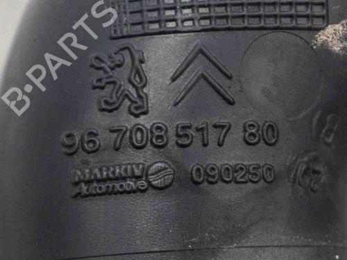 Pipe PEUGEOT 2008 I (CU_) 1.2 VTi | BP14665305M125