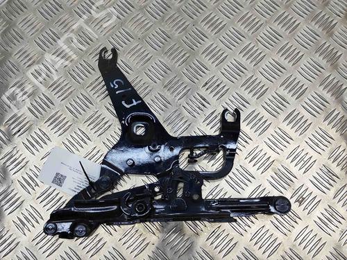 Used Hinge/Door check strap BMW 7 (G11, G12) 730 d, Ld (265 hp) 19501011