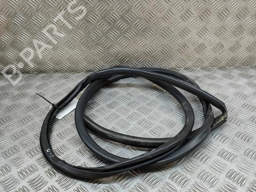 Gummiliste LEXUS RX (_L2_) 450h AWD (GYL25_, GYL26_, GYL25, GYL26, GYL25R, GYL26R) (313 hp) 26282878