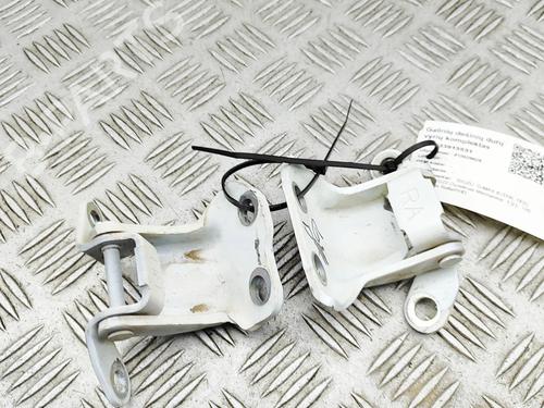 Used Hinge/Door check strap ISUZU D-MAX II (TFR, TFS) 1.9 Ddi 4x4 (TFS87J) (163 hp) 32170813