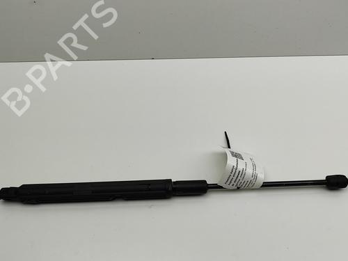 Used Hood lift support MERCEDES-BENZ C-CLASS (W205) C 220 d 4-matic (205.005) (170 hp) 26239874