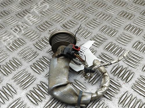 Injector LAND ROVER DISCOVERY V (L462) 3.0 Td6 4x4 | BP30130895M100