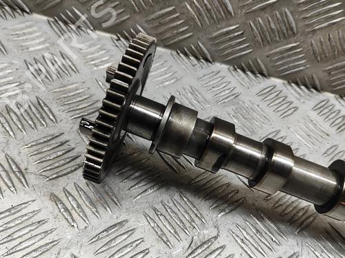 Other FORD TRANSIT V363 Van (FCD, FDD) 2.2 TDCi RWD | BP23416372O1 