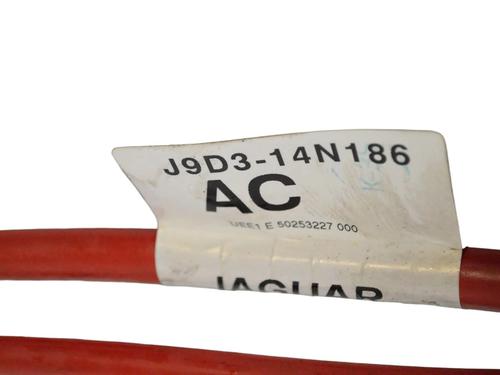 Wiring harness JAGUAR I-PACE (X590) EV400 AWD | BP30248618E16 