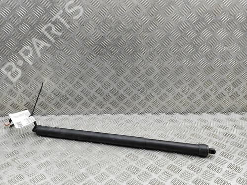 BP32459243C138 main image