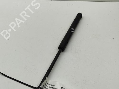 Hood lift support LAND ROVER RANGE ROVER EVOQUE (L538) 2.0 D 4x4 | BP28434345C139 