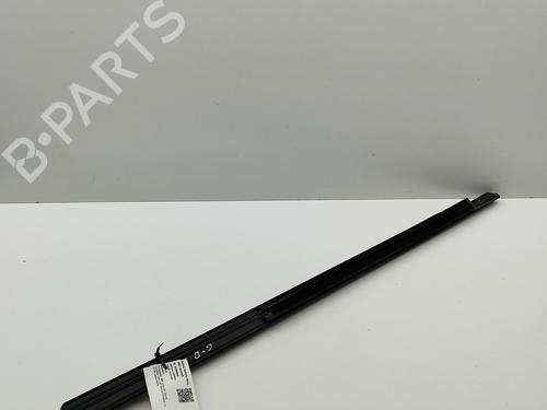 Door moulding trim BMW 3 (G20, G80, G28) M3 Competition | BP29542428C150 