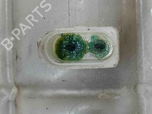 Expansion tank BMW 4 Coupe (F32, F82) 435 i | BP24820193C120