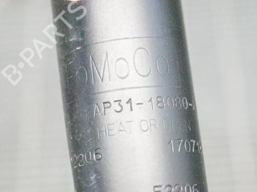 Right rear shock absorber FORD B-MAX (JK) 1.4 | BP6743027M19 