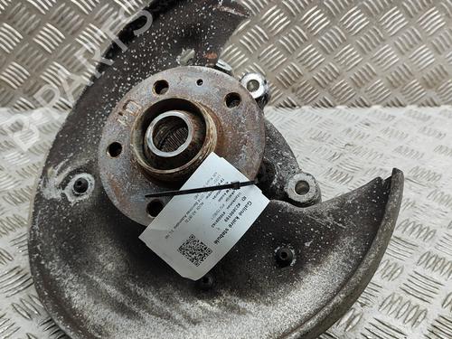 Left rear steering knuckle AUDI A5 (8T3) 2.0 TFSI quattro | BP17445070M27 