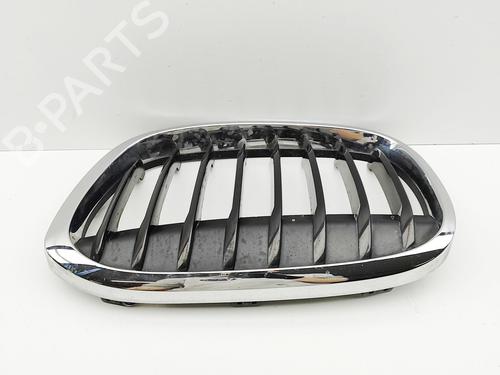 Grille BMW X1 (F48) sDrive 18 d | BP29730920C40 