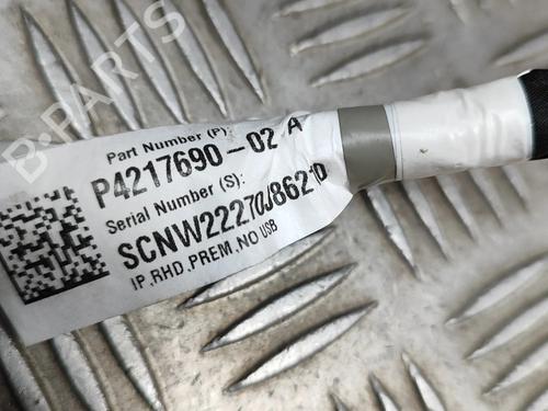 Ledningsnet TESLA MODEL 3 (5YJ3) EV | BP30620594E16 