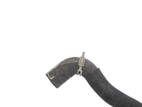 Pipe NISSAN JUKE (F16_) DIG-T 117 | BP31072860M125