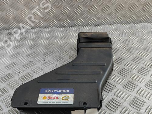 Used Pipe HYUNDAI SANTA FÉ III (DM, DMA) 2.2 CRDi 4WD (200 hp) 27933657