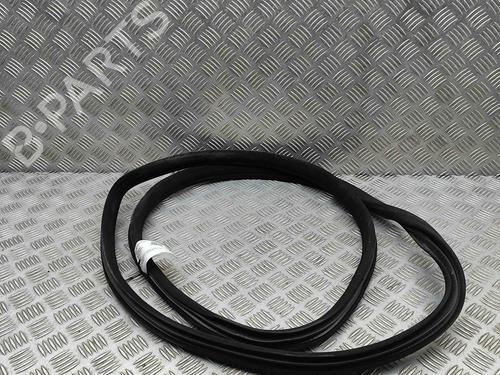 Rubber door seal MERCEDES-BENZ S-CLASS (W221, V221) S 500 4-matic (221.086, 221.186) | BP29510815C142 