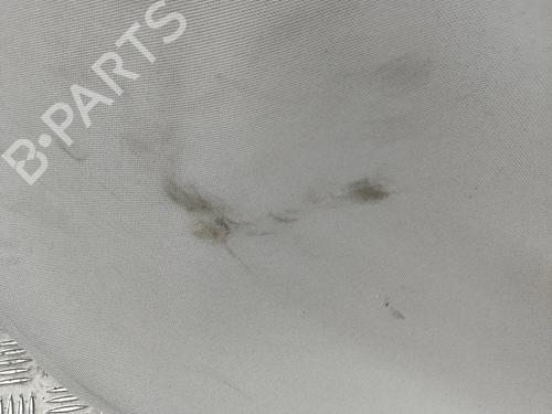 Interior roof NISSAN LEAF (ZE1) Electric | BP33370581I12 - Image 7