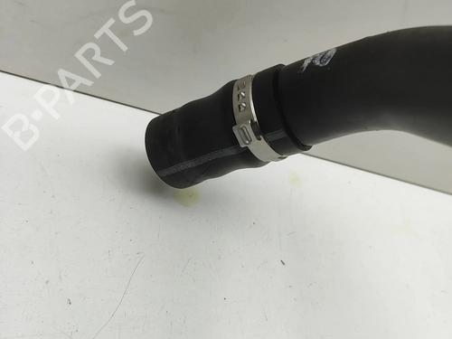 Pipe BMW X6 (G06, F96) xDrive 30 d Mild-Hybrid | BP33390052M125  - Image 7