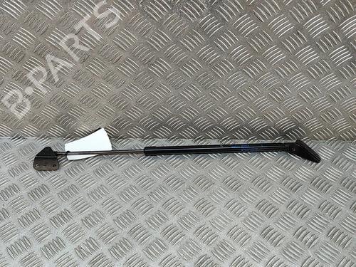 tailgate-lift-support-nissan-juke-f16_-2019-28551103 main image