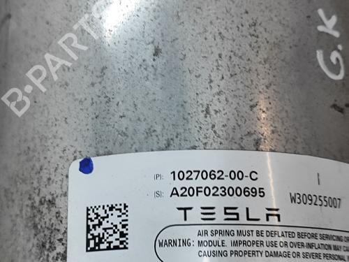 Left rear shock absorber TESLA MODEL X (5YJX) P100D AWD | BP28435246M18 