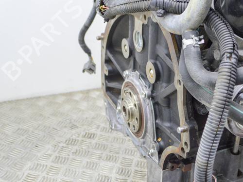 Engine NISSAN NAVARA NP300 (D40) 2.5 dCi | BP13029485M1  - Image 6