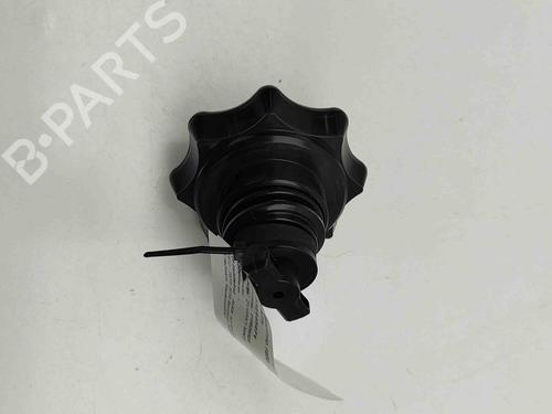 Support AUDI A3 Sportback (8VA, 8VF) RS3 quattro | BP29404137C155 