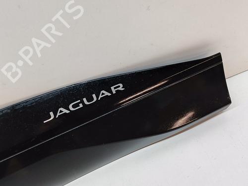 Door moulding trim JAGUAR I-PACE (X590) EV400 AWD | BP28045768C150 