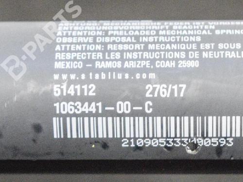 Elektronische module TESLA MODEL X (5YJX) P100D AWD | BP7797346M83 
