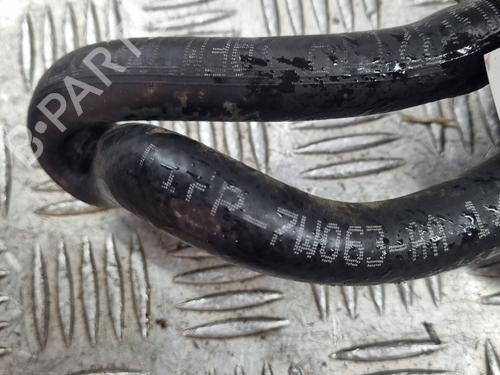 Oil radiator FORD FOCUS III 1.0 EcoBoost | BP29920239M33