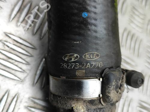 Pipe KIA CEE'D (JD) 1.6 CRDi 110 | BP33376504M125  - Image 7