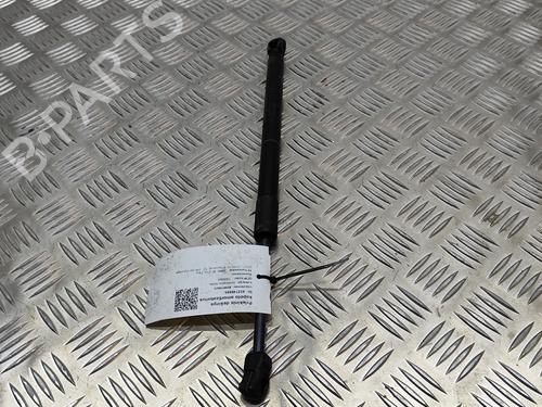 Hood lift support BMW 7 (G11, G12) 730 d, Ld | BP19501019C139 