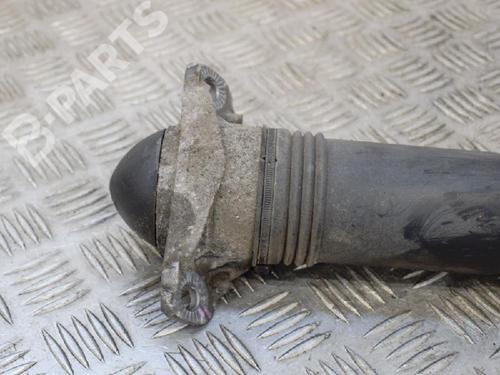 Left rear shock absorber VW TIGUAN (AD1, AX1) 2.0 TDI | BP6748374M18 