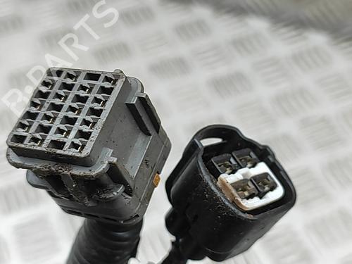 Wiring harness ISUZU D-MAX II (TFR, TFS) 1.9 Ddi 4x4 (TFS87J) | BP29975571E16 