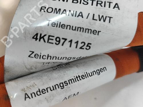 Cable AUDI Q8 E-TRON Sportback (GET) 55 quattro | BP27792216E12 