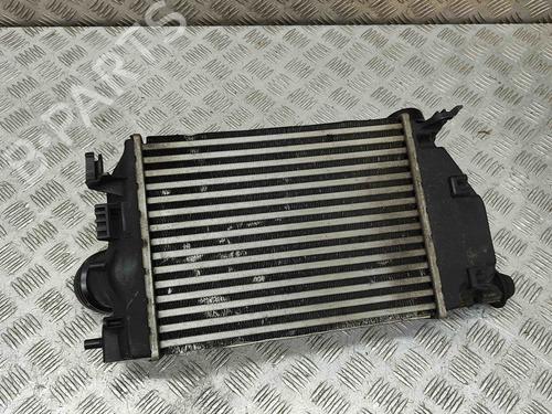 Intercooler RENAULT KADJAR (HA_, HL_) 1.5 dCi 110 (HLA3) | BP29460052M30 