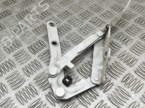 Hinge/Door check strap VW TRANSPORTER T6 Van (SGA, SGH, SHA, SHH) 2.0 TDI | BP29920509C146