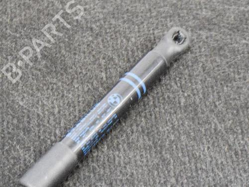 Hood lift support BMW 1 (F20) M 135 i | BP14611885C139 