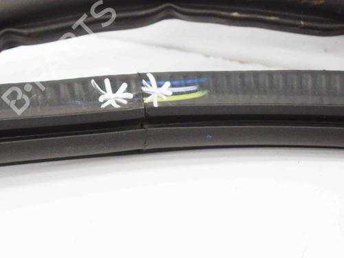 Rubber door seal AUDI Q5 (FYB, FYG) 3.0 TDI quattro | BP14666011C142