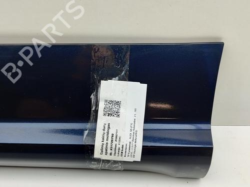 Door moulding trim AUDI Q5 (FYB, FYG) 2.0 TFSI quattro | BP28436556C150 