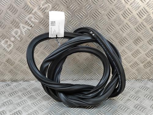 rubber-door-seal-vw-golf-viii-cd1-da1-2019-27771394 main image