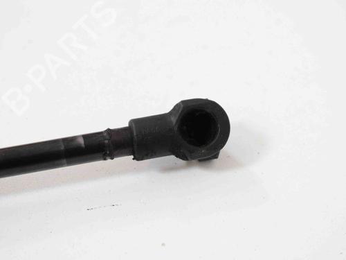 Hood lift support BMW 3 (E90) 320 d | BP30256424C139