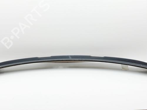 Scuttle panel VW TRANSPORTER T6 Van (SGA, SGH, SHA, SHH) 2.0 TDI | BP29945250C110